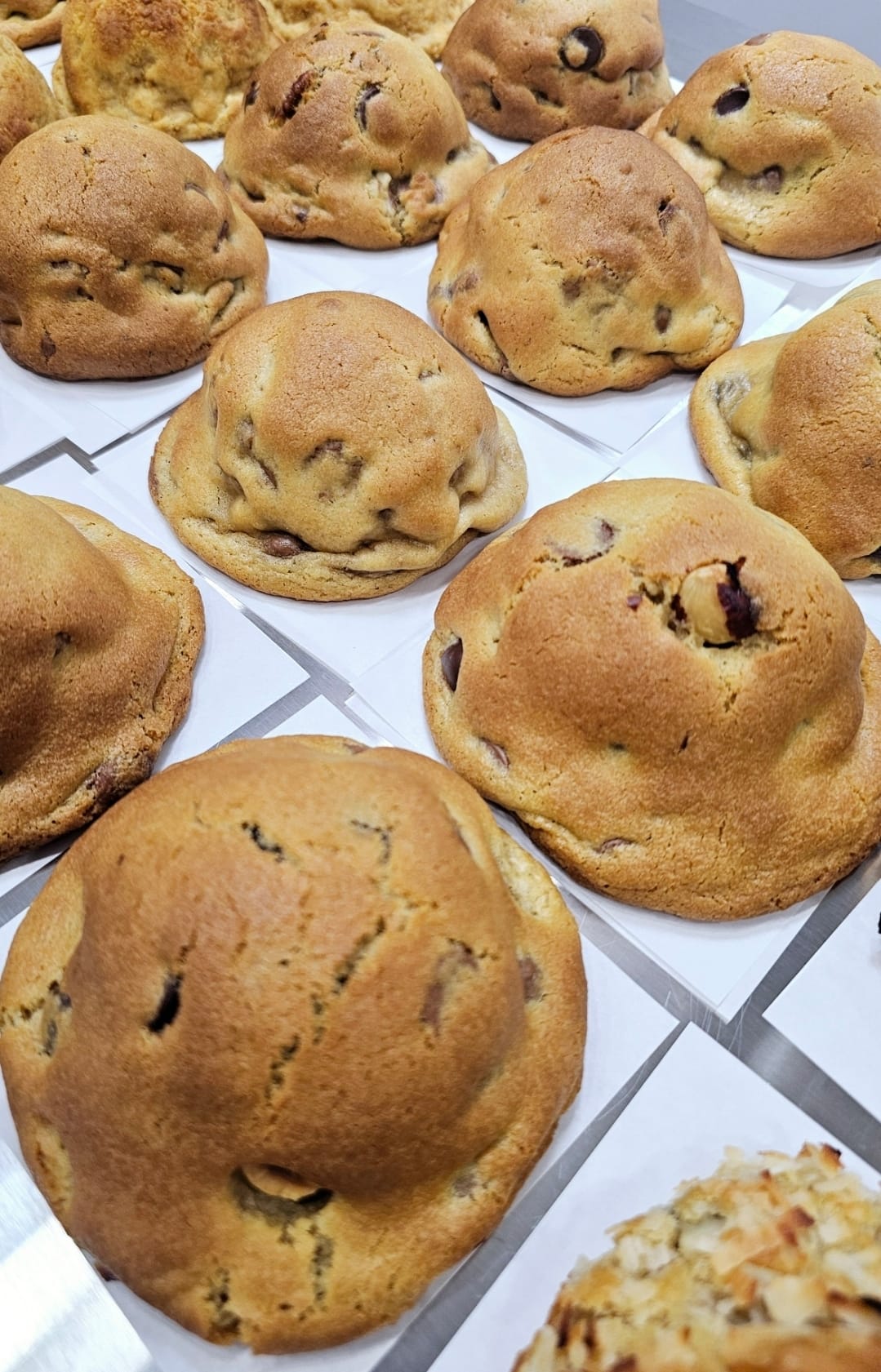 Walnut Chocolate Chip Cookie - Classic Favorite